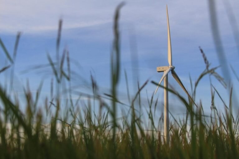 digital growth solution 451401510